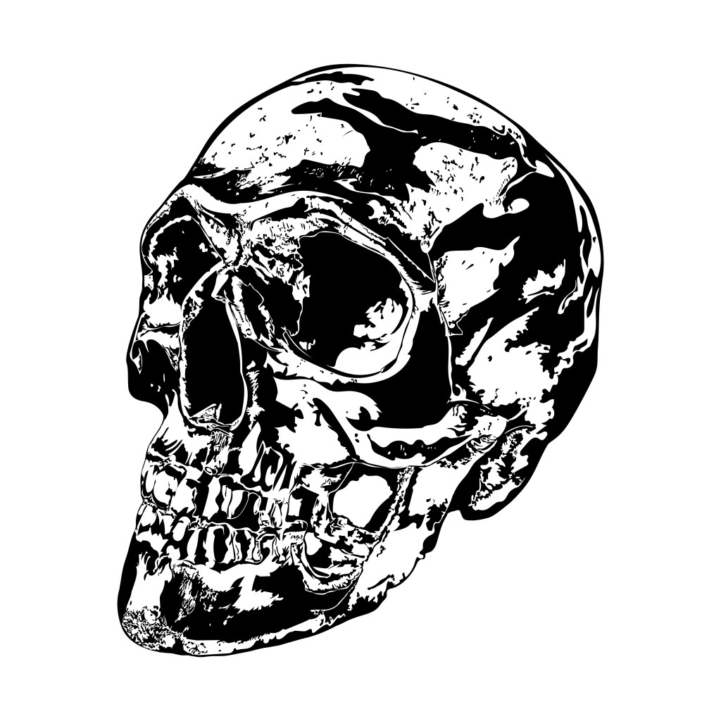 Skull Illustration